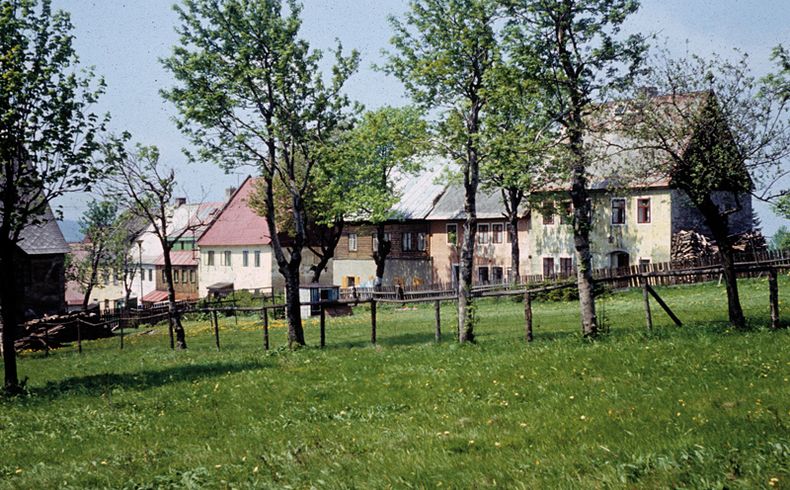 Blick auf eine Häuserzeile mit bunten Fassaden und Dächern, im Vordergrund eine Wiese mit Zäunen und kleinen Laubbäumen