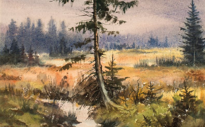 Sensibles Aquarell mit einer Fichte im Zentrum, links davor ein Bach, nach hinten zu ocker-sandfarbene Moorlandschaft, durchsetzt von kleinen Fichten, im Hintergrund ein blaugrauer Himmel, der nach oben hin lichter wird