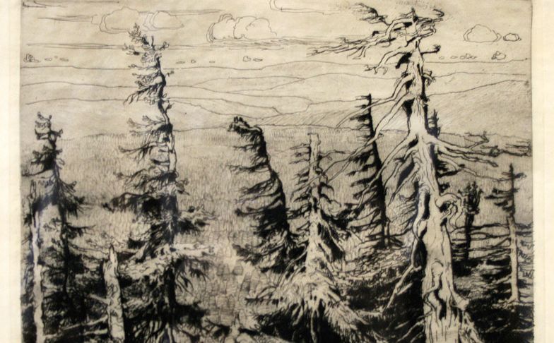 Georg Gelbke, Erzgebirgskamm, undatiert. Fein gezeichnetes Waldstück mit kahlen, zerzausten, teilweise umgestürzten Bäumen, im Hintergrund weiter Blick in die Ferne auf Bergrücken und Himmel mit einzelnen Wolken
