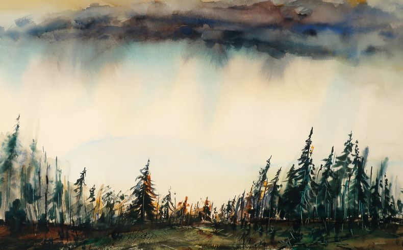 Locker gemaltes Aquarell mit Blick auf ein Waldstück mit Fichten; am Himmel aufhellende Passage unter dunkler Wolke