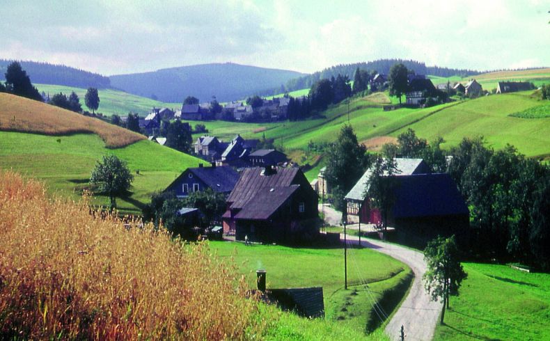 Blick auf das Dorf Sosa über einen Weg hinweg, im Hintergrund Waldstücke und der Auersberg, sommerliche Stimmung